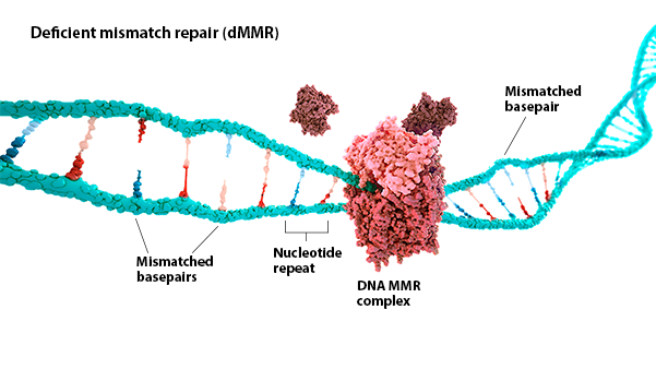 dMMR image