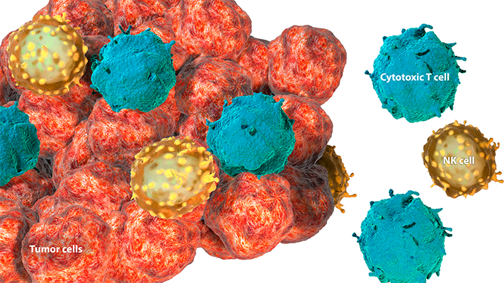 Tumor-infiltrating lymphocytes (TILs)