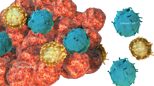 Tumor-infiltrating lymphocytes (TILs)